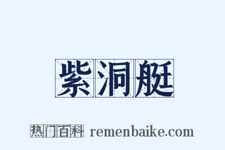 紫洞艇是什么意思的图片